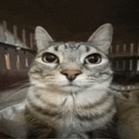 kami.jjaan