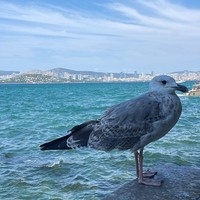 Акбобек