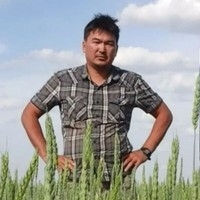 Карик