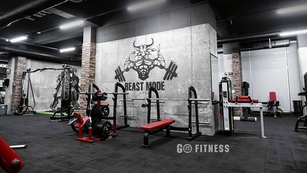 Go Fitness - 3 mkr — фото 9