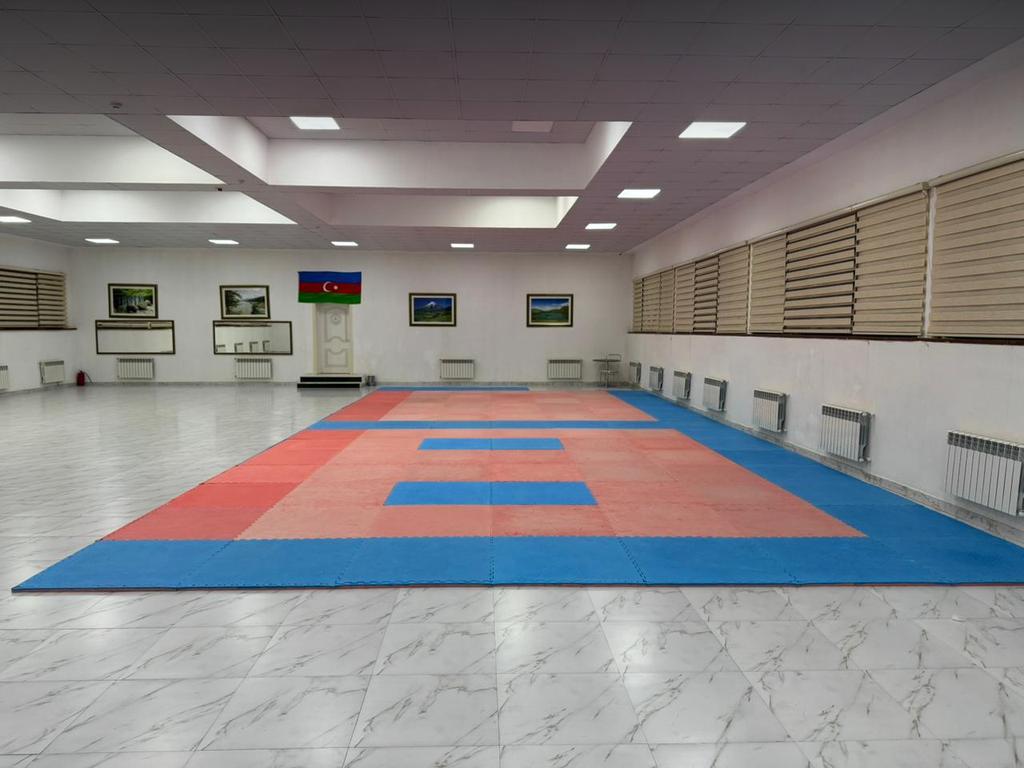 Ruslan İsmayılov WKF — фото 2