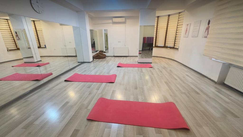 Ayselin Dance Studio — фото 3