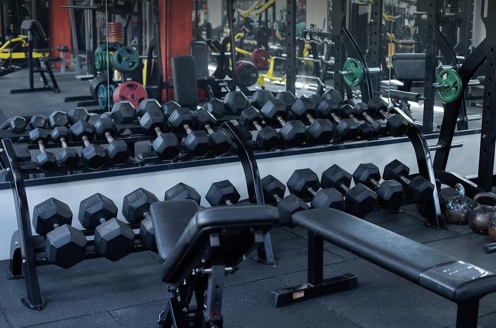 Gold Fitness — фото 2