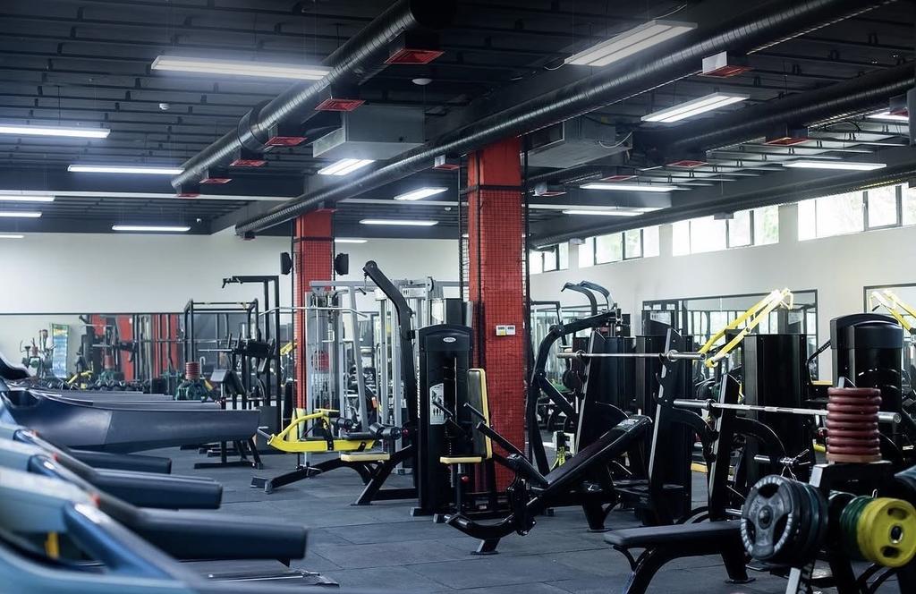 Gold Fitness — фото 1