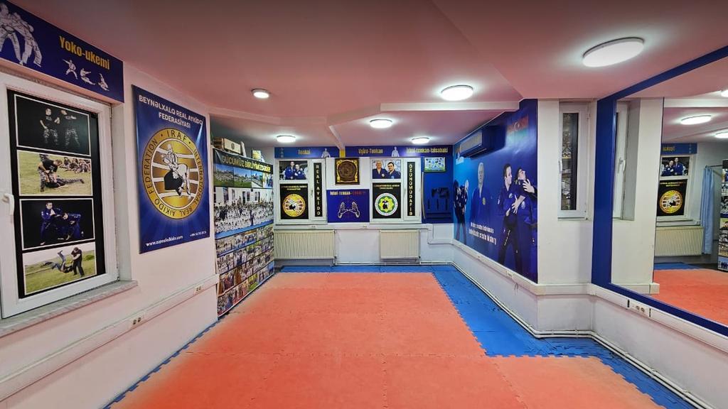 Azərbaycan Real Aykido İdman Klubu - 8 mkr filialı — фото 3