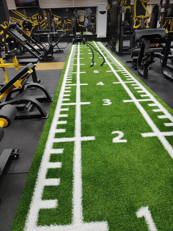 Alpha-Sport — фото 9