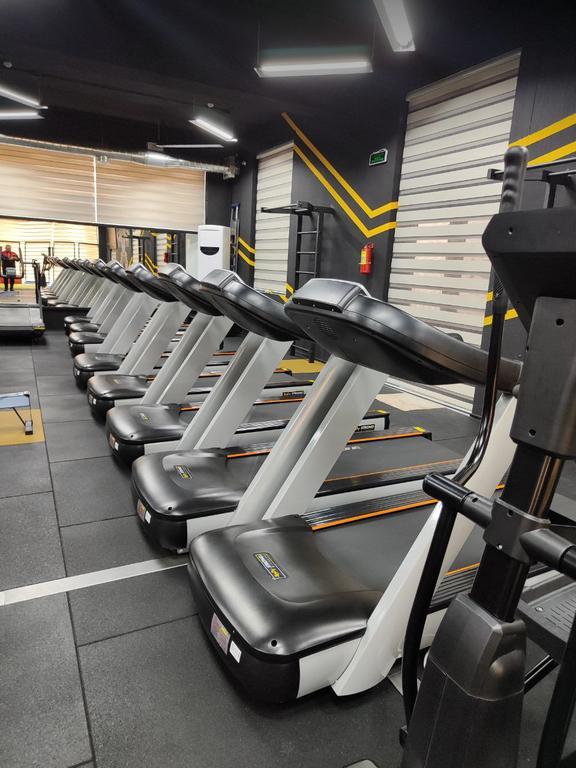 Alpha-Sport — фото 10