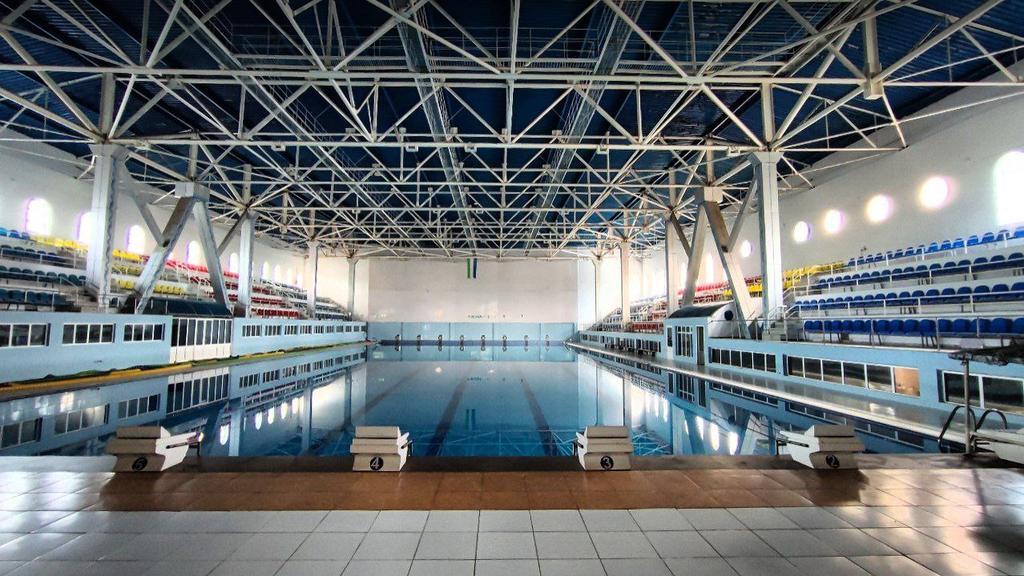 DELFIN — фото 1