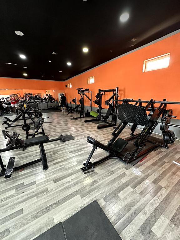 Gold fitnes — фото 4