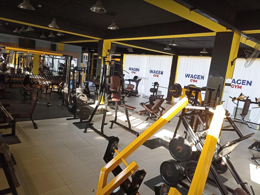 Wagen gym — фото 1