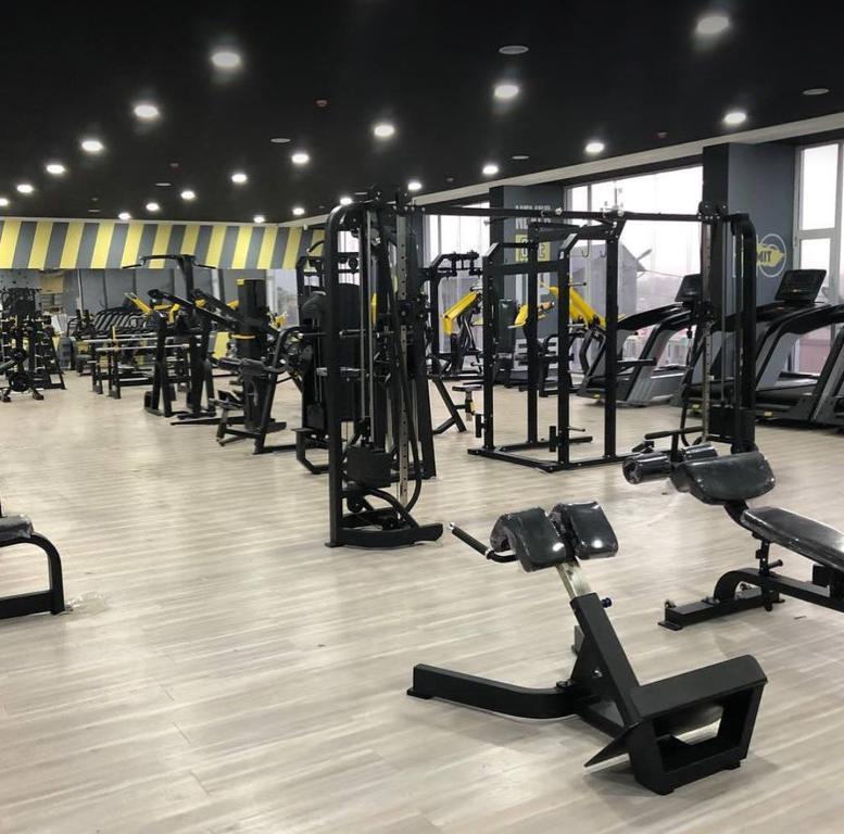 Profit — фото 1