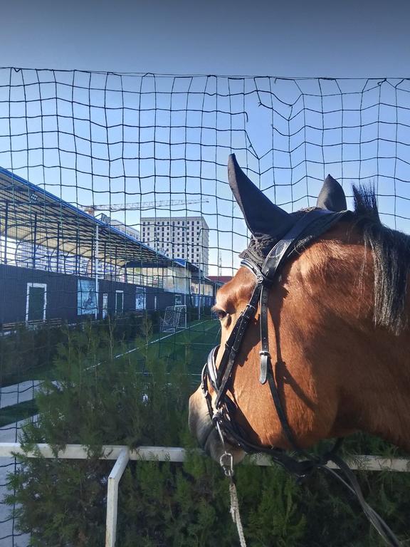 FURQONSTABLES — фото 2