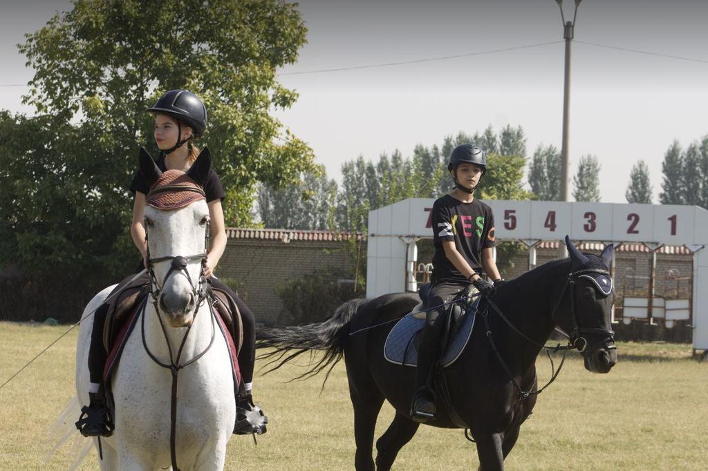 КСК Фазо-Тулпор — фото 6