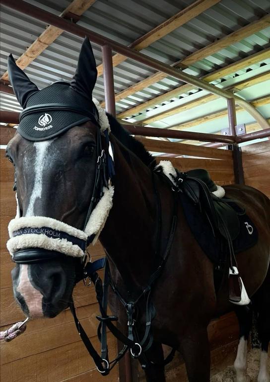 Самарканд вилояти Чавондозлар мактаби — фото 2