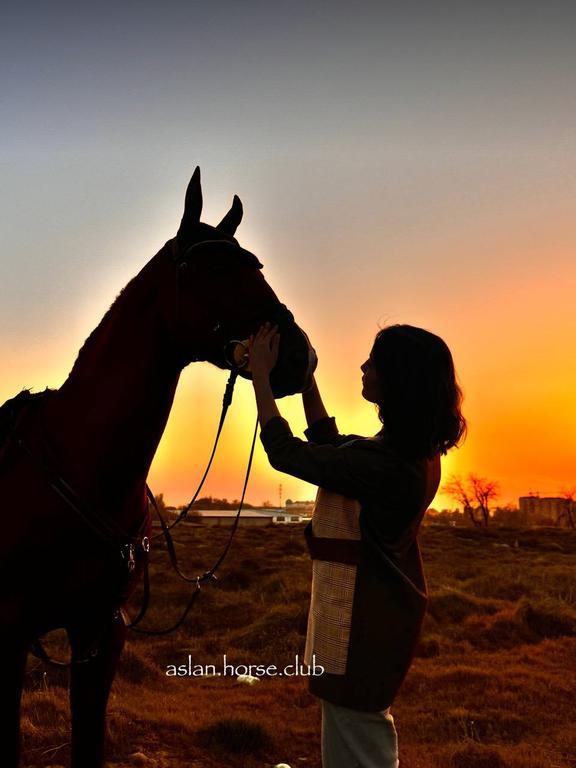 ASLAN HORSE CLUB — фото 1