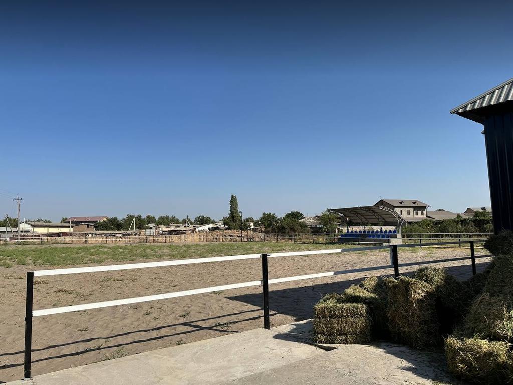 CHAMPION HORSES — фото 2