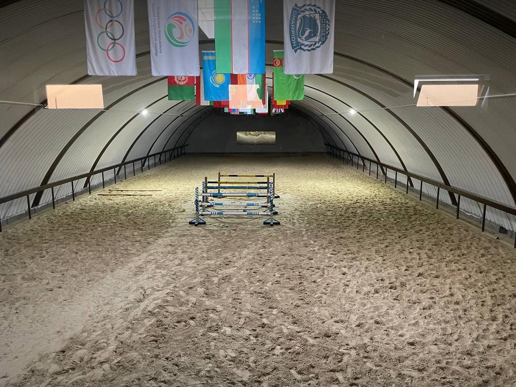 CHAMPION HORSES — фото 3