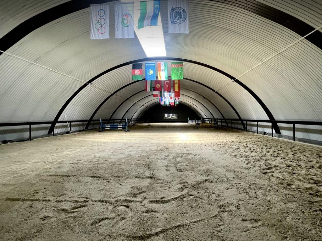 CHAMPION HORSES — фото 1