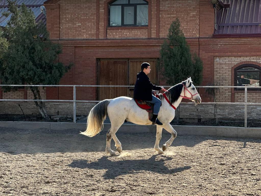 OQTULPOR.UZ — фото 1