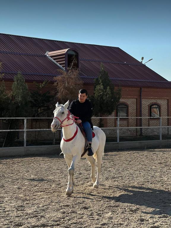 OQTULPOR.UZ — фото 2