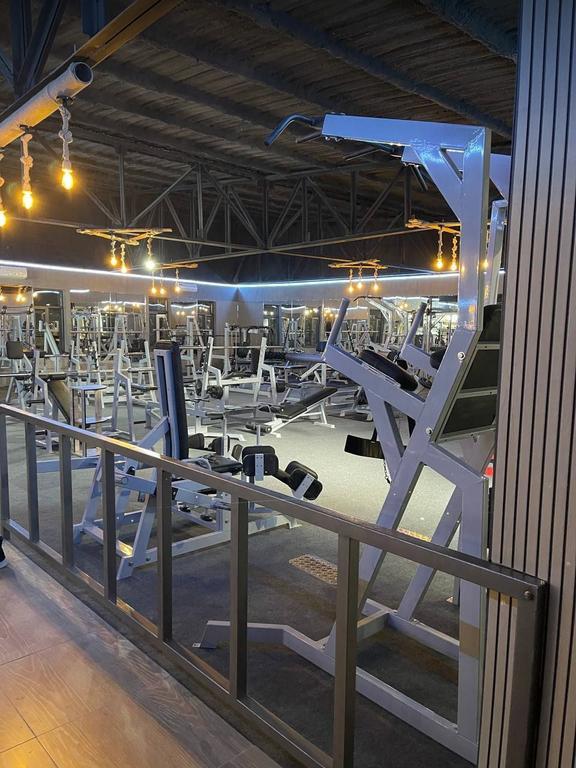 ALLIGATOR — фото 1