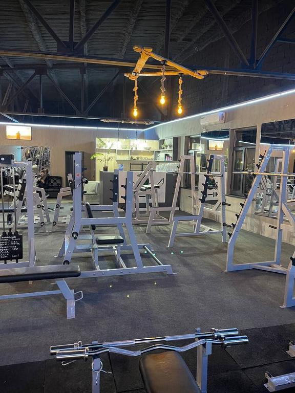 ALLIGATOR — фото 2