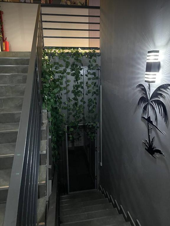 ALLIGATOR — фото 6