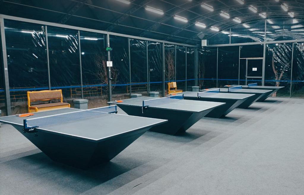 Beruniy Ping-Pong (Каракамыш) — фото 5