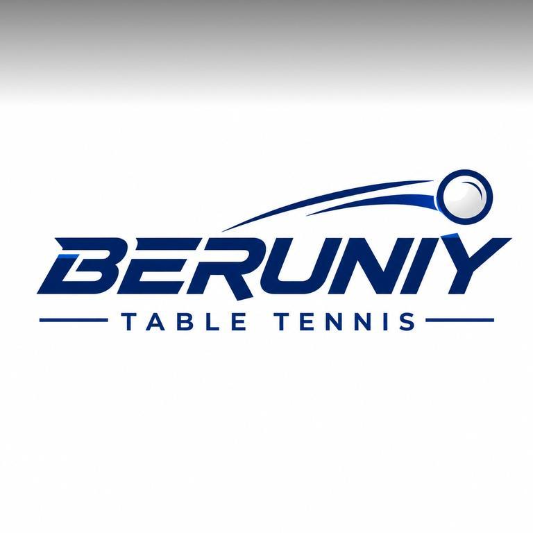Beruniy Ping-pong (школа 191) — фото 2