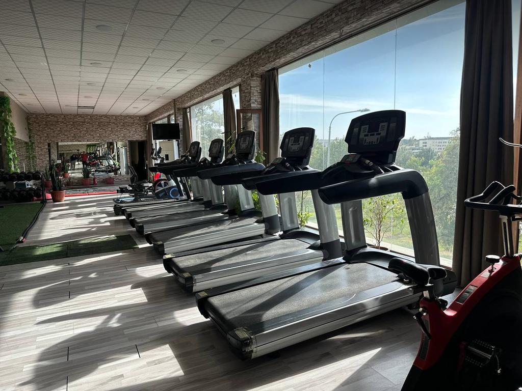 OLYMP — фото 6