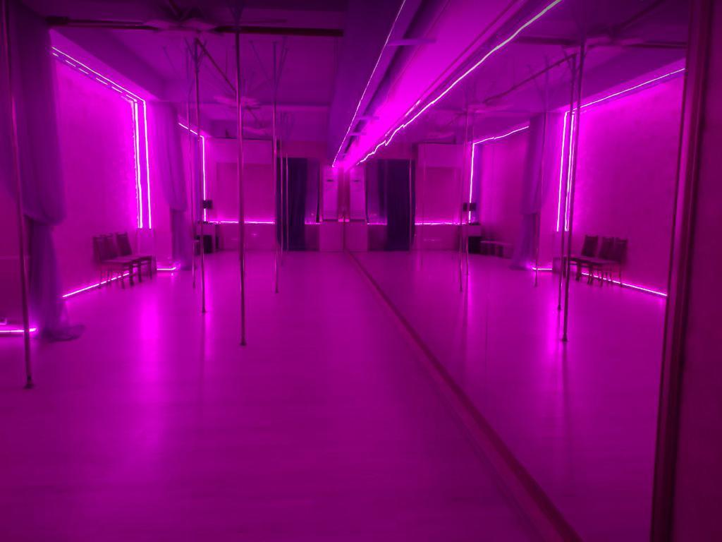 Merci Danse — фото 6