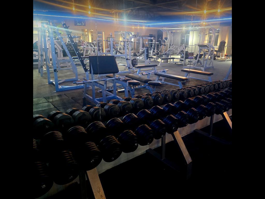 ALLIGATOR — фото 12