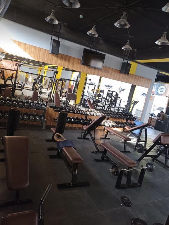 Wagen gym — фото 3