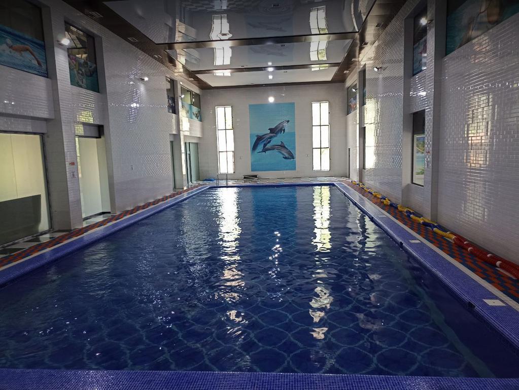 Дельфин — фото 2