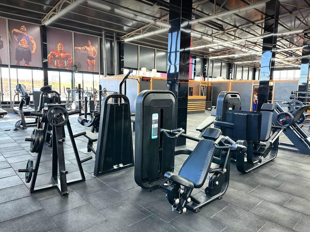 OLYMPIA — фото 6