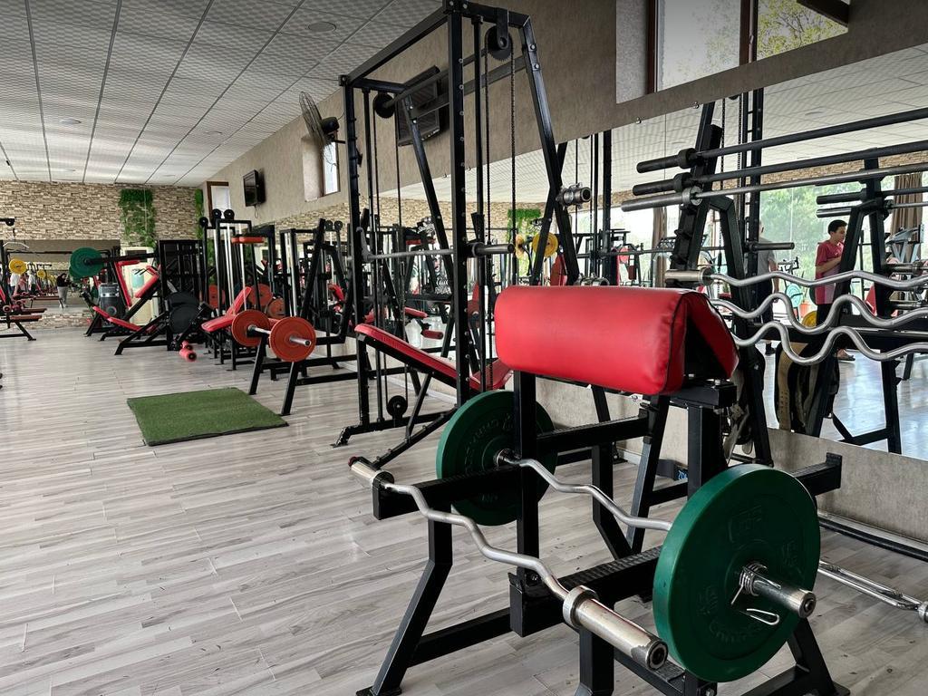 OLYMP — фото 2