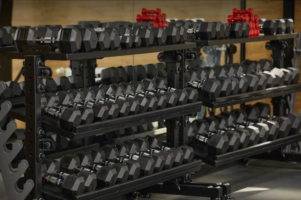 THE СТАЯ — фото 6