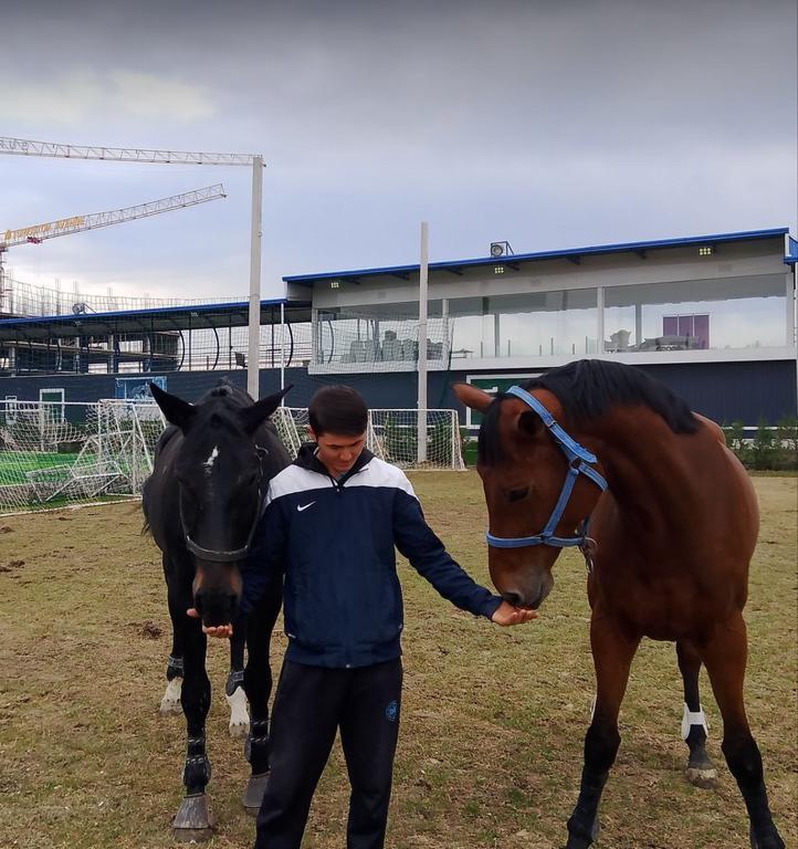 FURQONSTABLES — фото 1