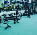 Avalon Gym