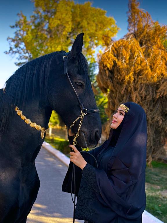 Horse Arena — фото 1