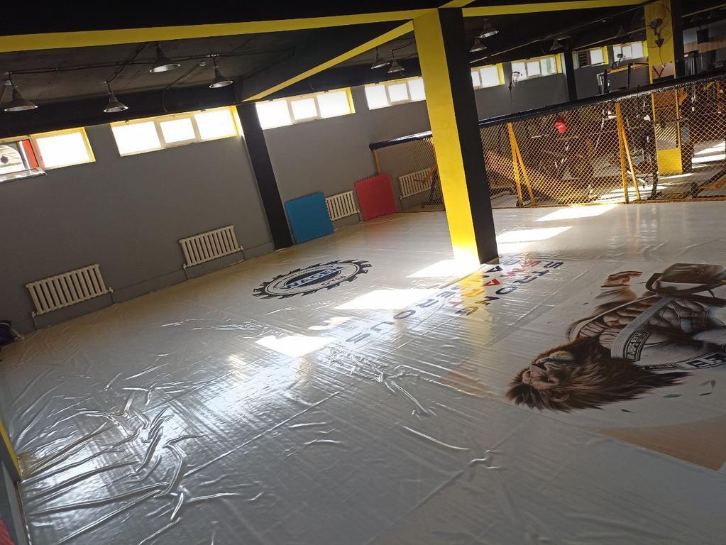 Wagen gym — фото 2