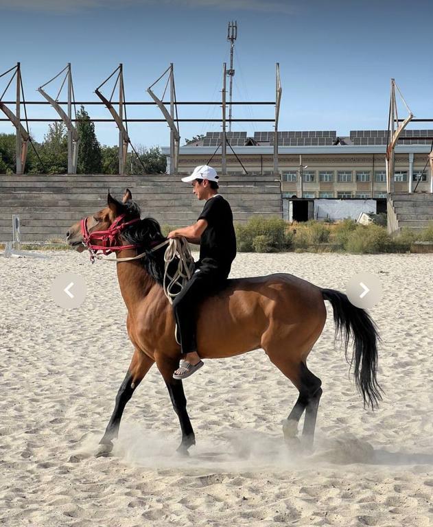 Конный спорт — фото 1