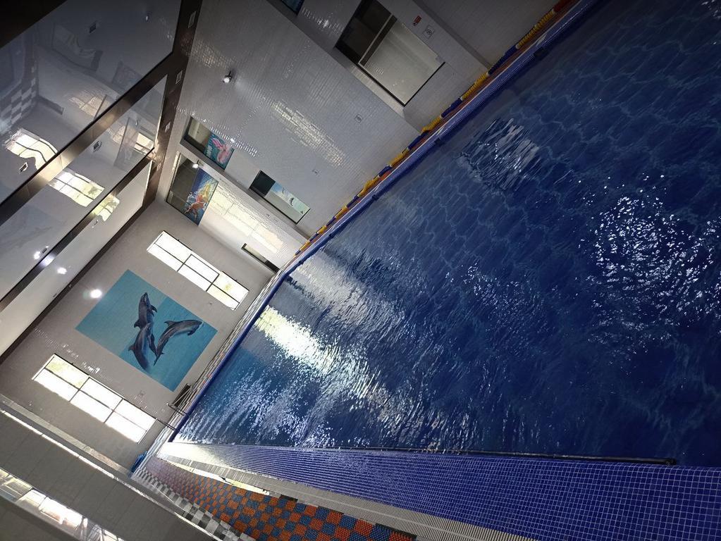 Дельфин — фото 3