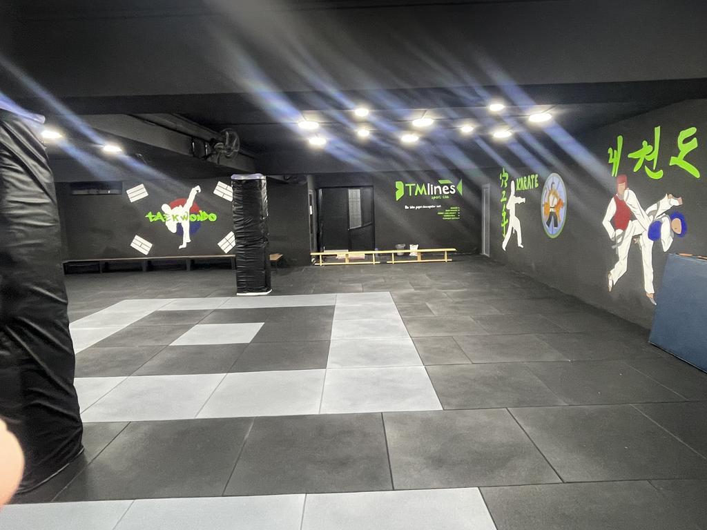 TM lines — фото 6