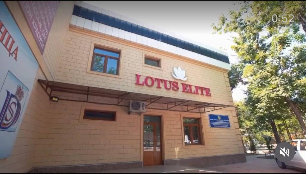 Lacus (Lotus Elite) — фото 8