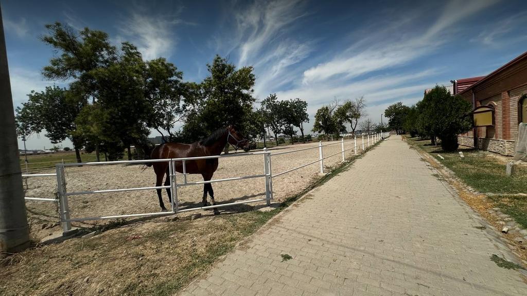 Baraka Riding — фото 5