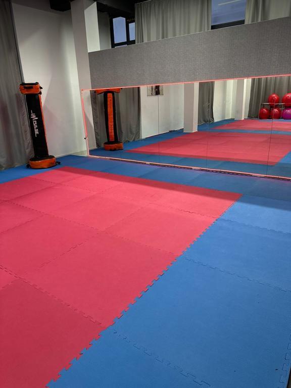 Impulse Pro — фото 3