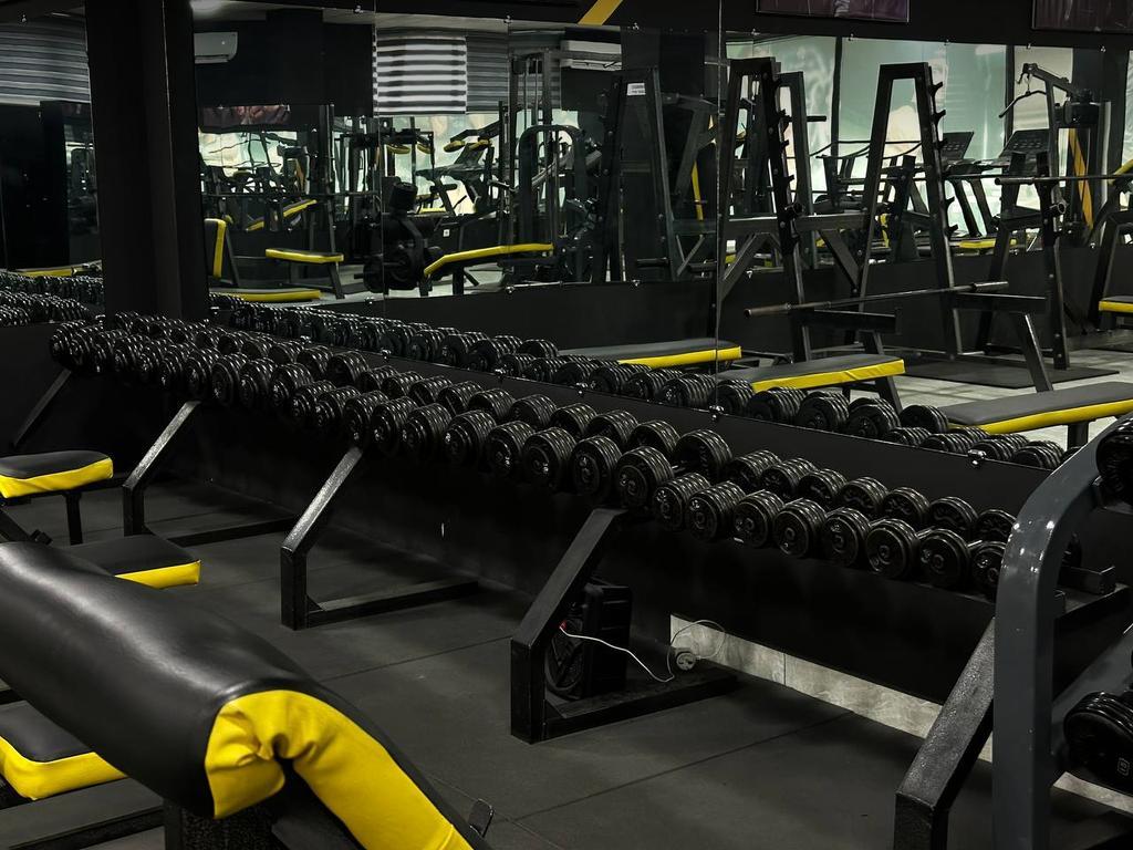 LION GYM — фото 4