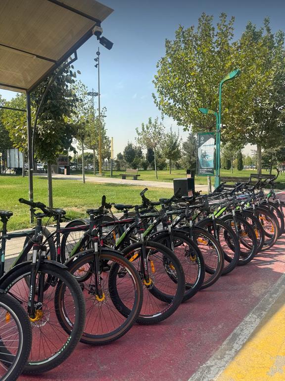 VeloZone - 12 — фото 1