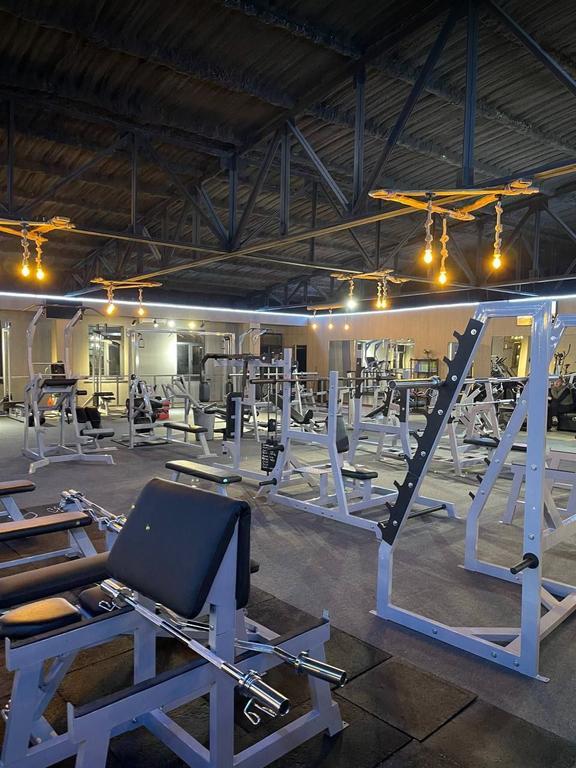 ALLIGATOR — фото 5